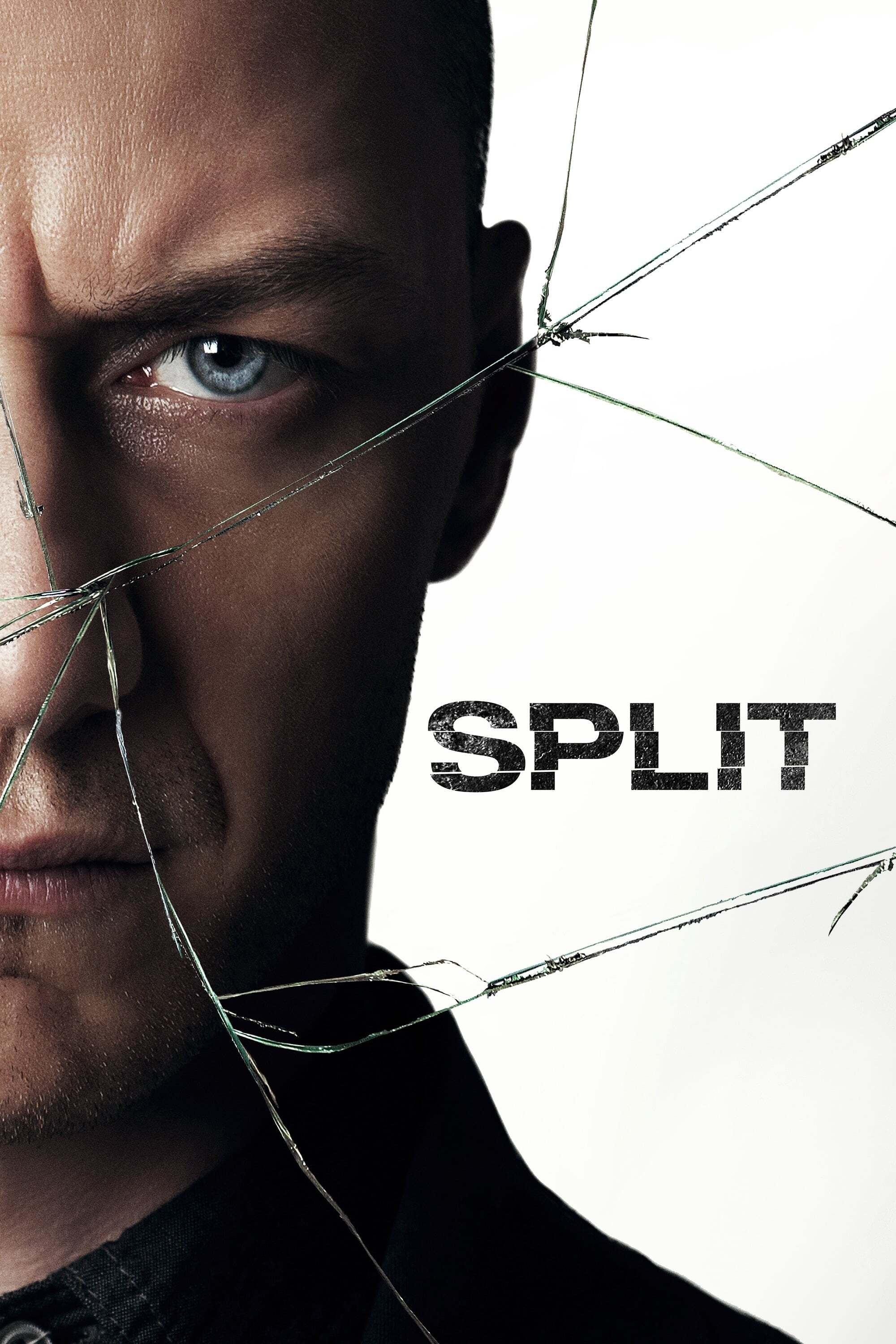 Split 2016
